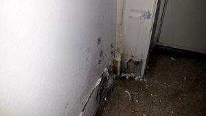 Water damage to drywall
